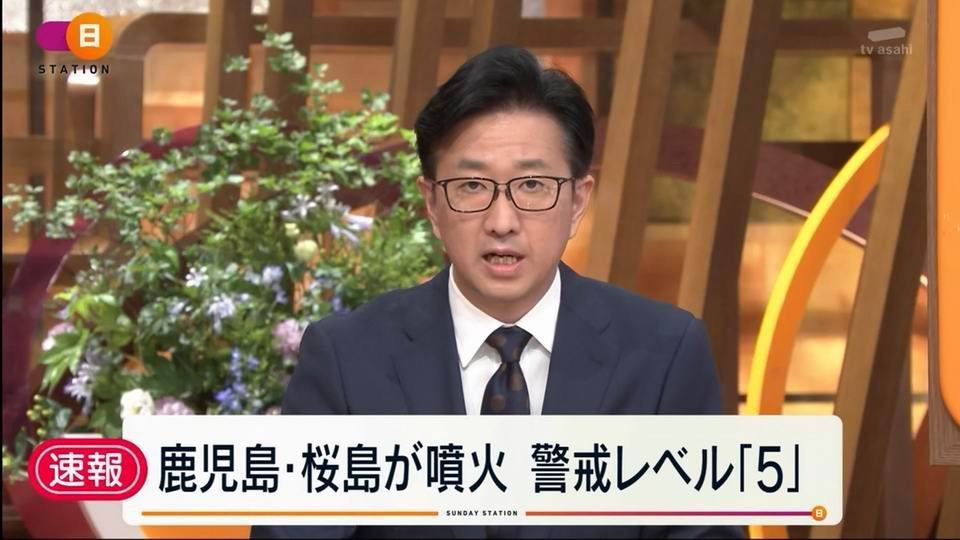 newhome�ձ�����ֱ��